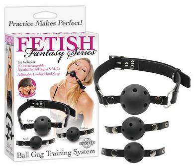 Ball Gag Training System