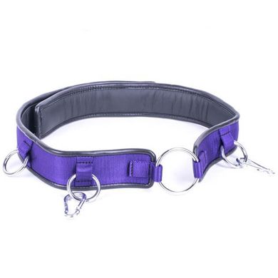HardcoreDeLuxe Wrist to Waist Belt with two Carabiners purple