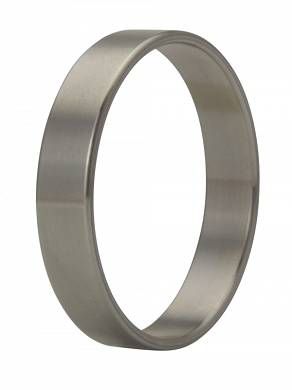 Cockring Edelstahl 10 mm breit blank 2 mm stark