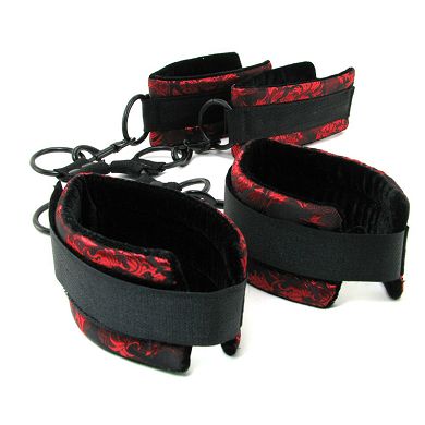 Scandal Hogtie