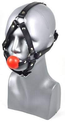 Harness aus Leder mit rotem Ballknebel