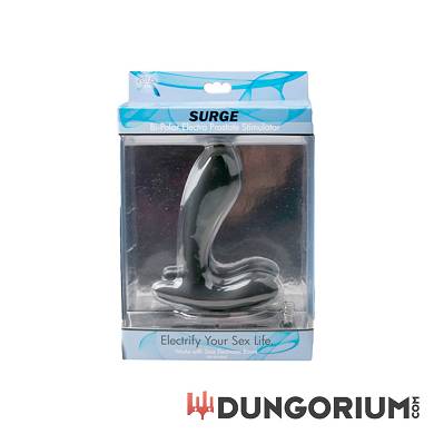 surge-bi-polar-eektro-stimulator-fr-die-prostata_4
