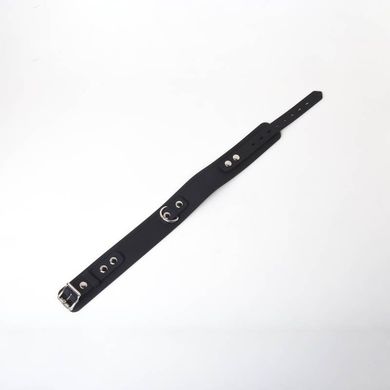 silicone-collar-and-leash