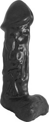 Domestic Partner Medal Of Honour 44x11cm