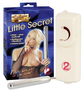 silvia-saint-minivibrator-little-secret