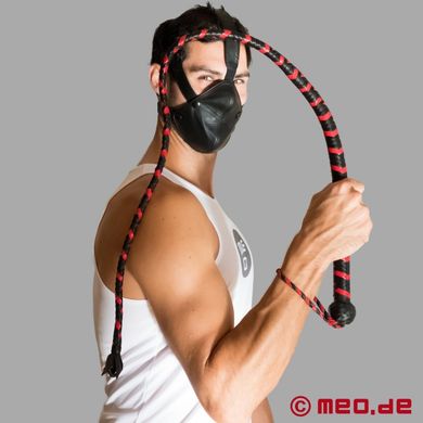 Peitsche Diabolus aus schwarz ? rotem Leder