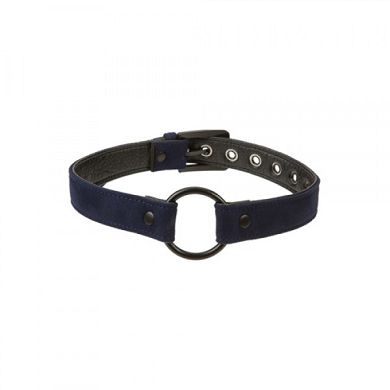 Black & Blue Ringknebel