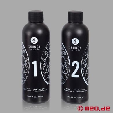 Shunga Massagegel Erdbeere & Champagner