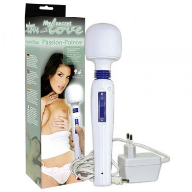 Passion Pointer Massagestab