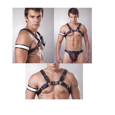 Bulldog Harness