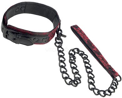 calex-scandal-collar-with-leash_2