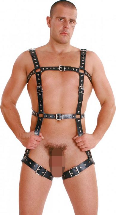 Leder Harness mit Oberschenkelgurten