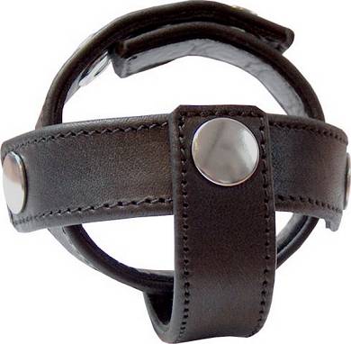 Cockstrap und Hodengehäuse in einem: Mit Nieten