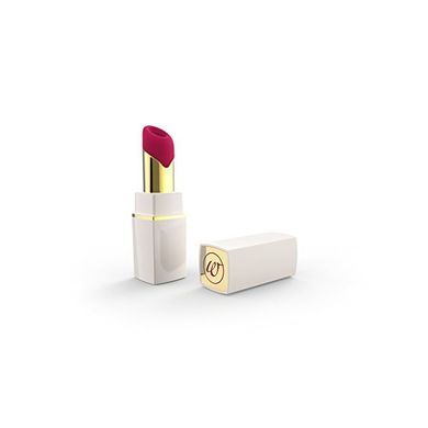 Womanizer 2GO Klitorisstimmulator (weiß/gold) mit Gleitmittel/Toyreiniger und Tasche