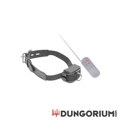 Elektro-Halsband mit Fernbedienung