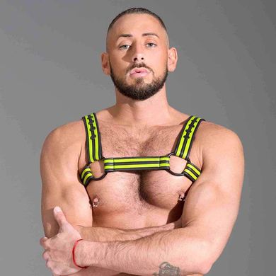 Bulldog Harness Neoprene green/black