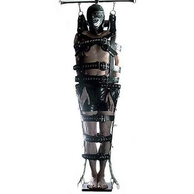 Full Body Suspension Sling