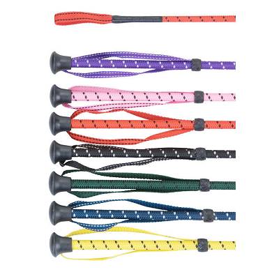 Imperial Riding Springgerte 60 cm lila,rosa, rot,grn,gelb,schwarz