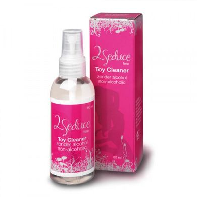 Toy Cleaner Woman