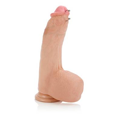 Lebensechter Dildo mit Piercing Phil Varone