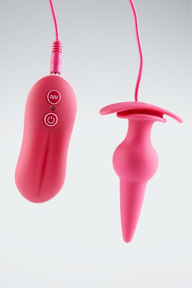 Ns Novelties Anal-Vibrator 