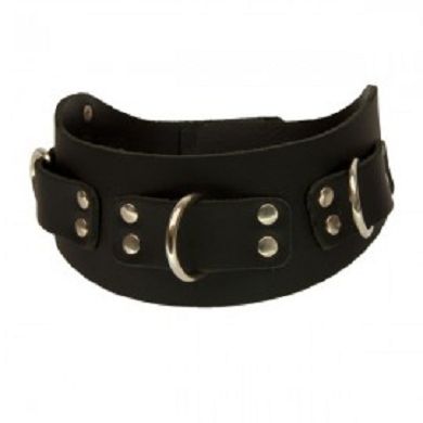 Lederhalsband breit