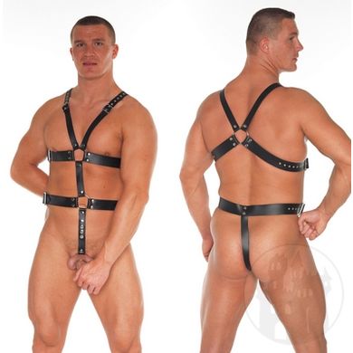 Leder Harness mit 2 Cockringen