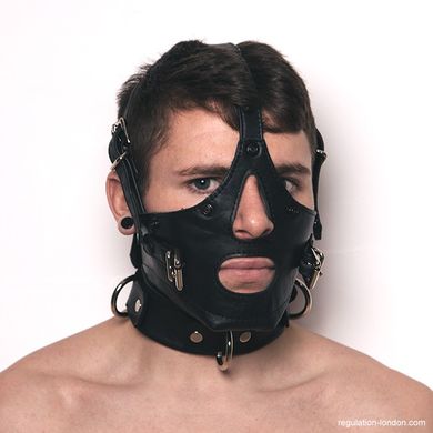 Mr S Bishop Head Harness