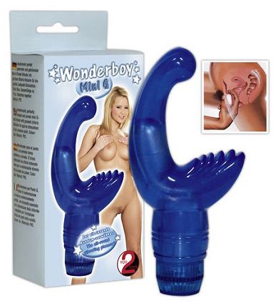 wonderboy_mini_g