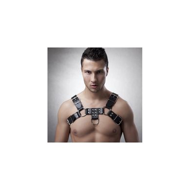 Bulldog Harness deluxe