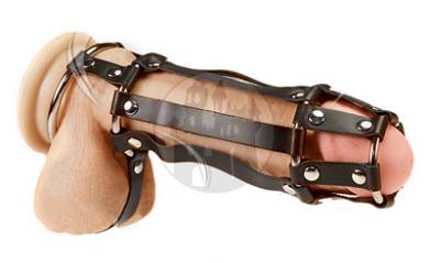 Leder Penisharness mit Hodensack Ring und Riemen
