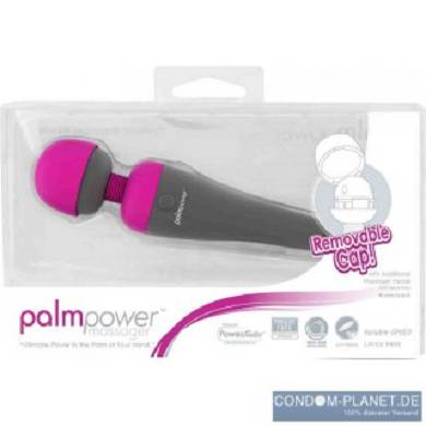 PalmPower Massager