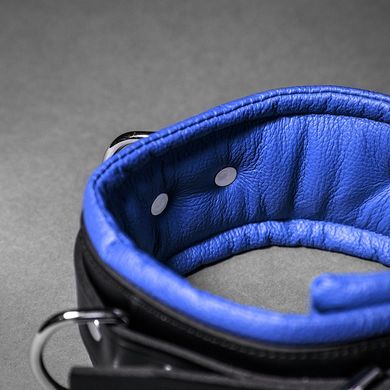 padded-leather-collar