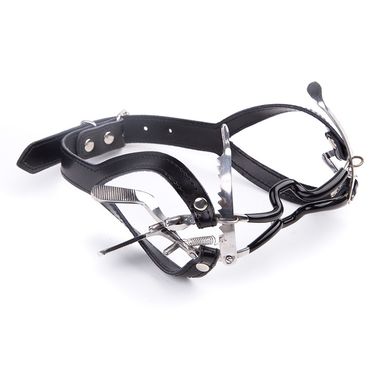 whitehead-gag-amp-strap