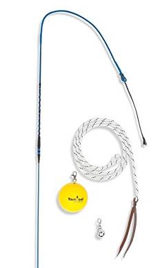 Longierpeitsche Trainer Stick