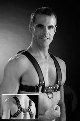 Oberkrperharness 