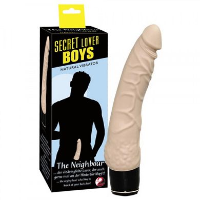 Secret Lover Boys The Neighbour Vibrator