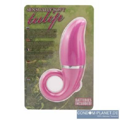 Sensually Soft Tulip