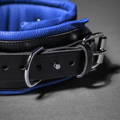 padded-leather-collar