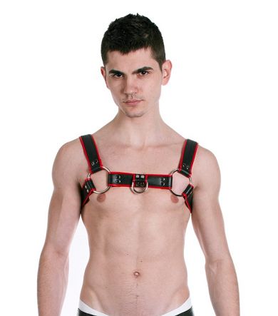 Deluxe_H_-_Harness