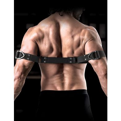 command-by-sir-richards-bicep-binder