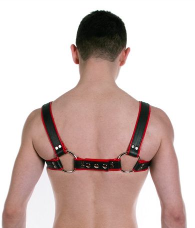Deluxe_H_-_Harness