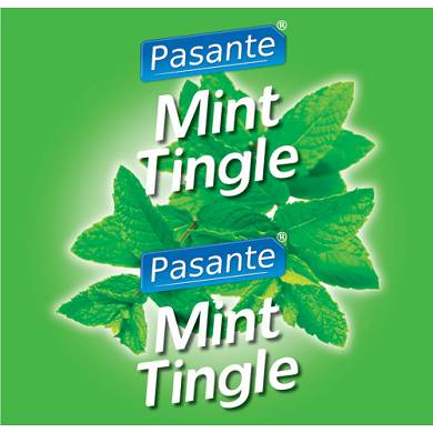 Pasante Mint Flavour Kondome 144 Stck