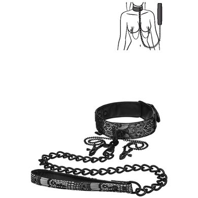 Steamy Shades - Collar with Leash and Nipple Clamps