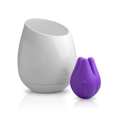 JimmyJane Pure UV-Desinfektion Stimmungslicht + Love Pods Tre Edition