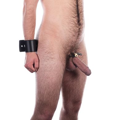 wrist-to-genital-restraint