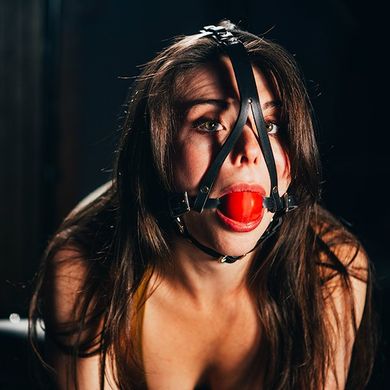 Head Harness Ball Gag
