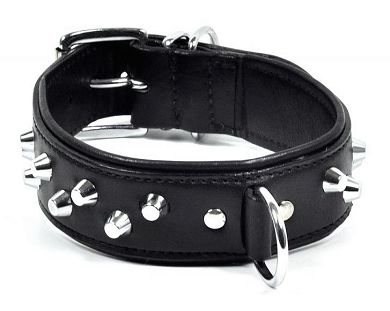 Leder Halsband mit D-Ring und Nieten v1