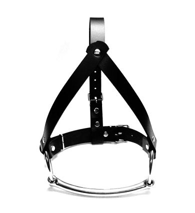 Pony Kopf-Harness mit Beißstange und Leine