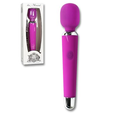 25 x 5 cm Massager Vibrator Touche - The Minstrel purple